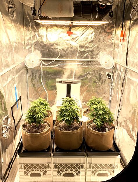 reddit microgrowery